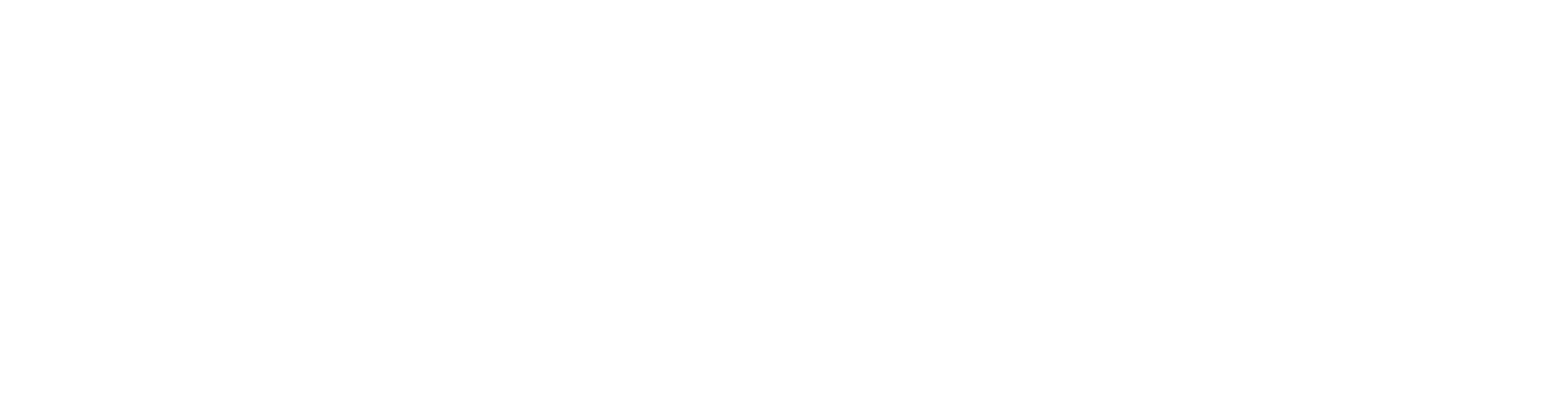 Samurai Warriors 4-II logo