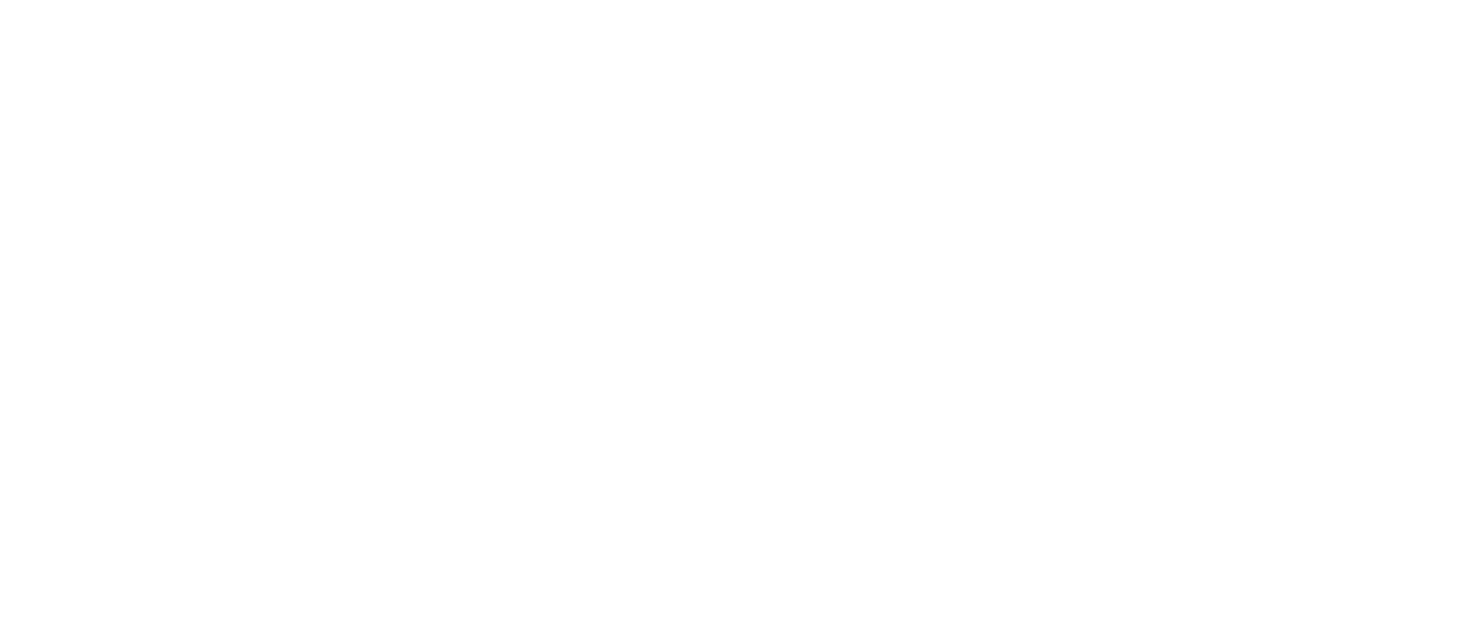 S.T.A.L.K.E.R.: Call of Pripyat logo