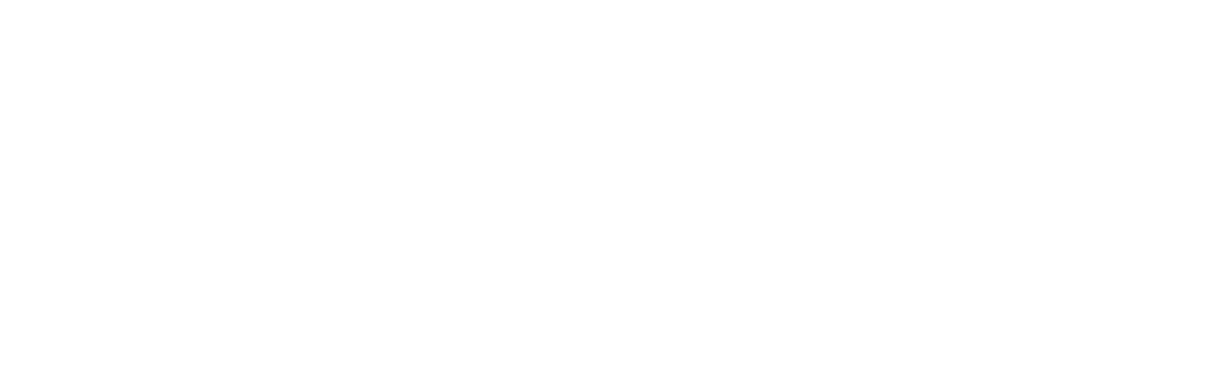 Microsoft Flight Simulator