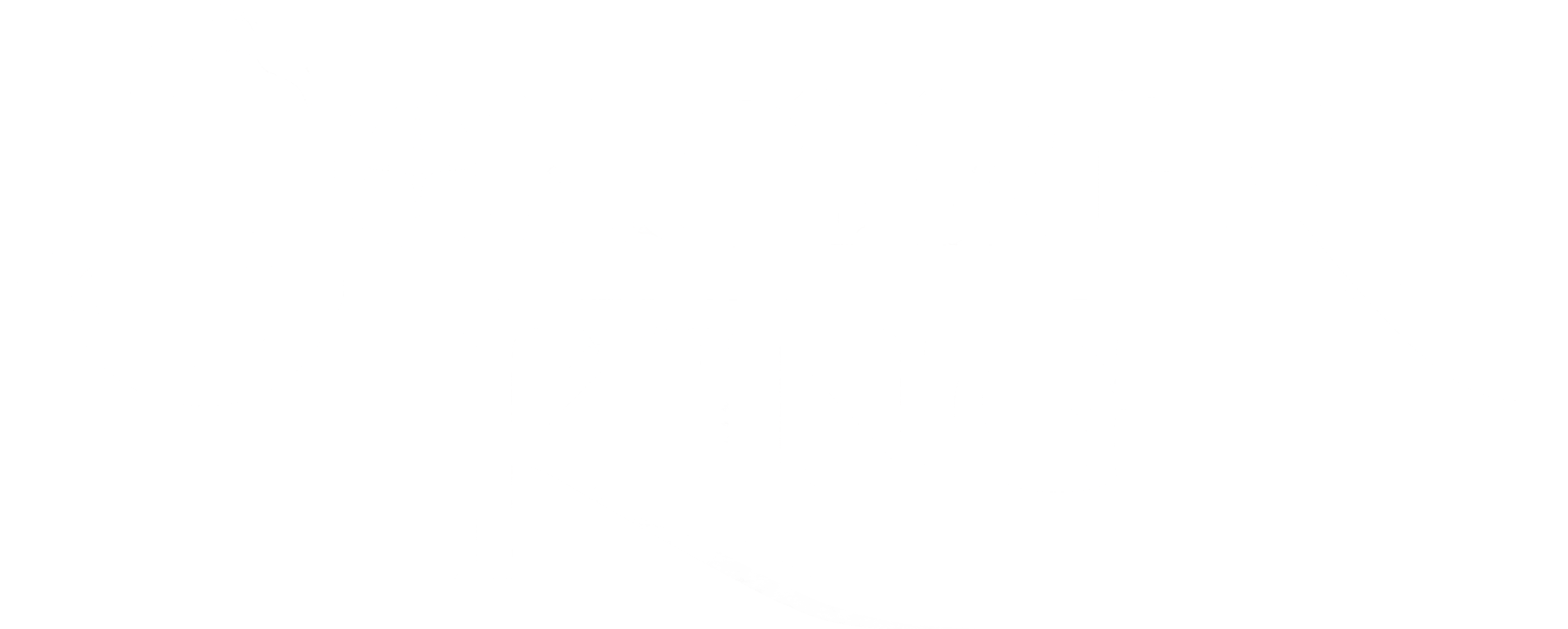 Sorcerer King