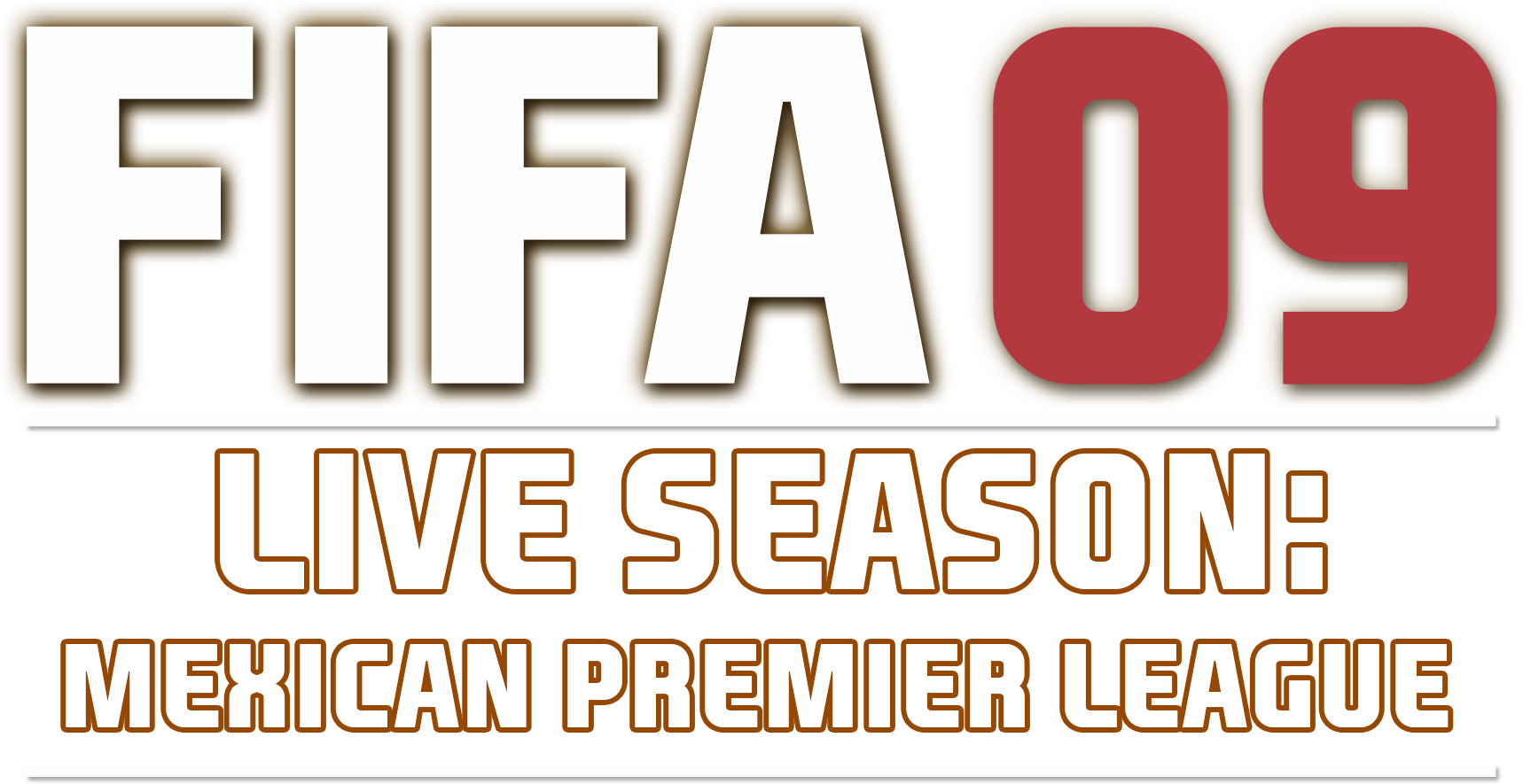 FIFA 09 logo