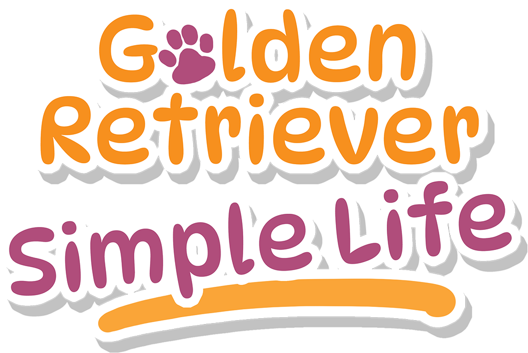 Golden Retriever Simple Life