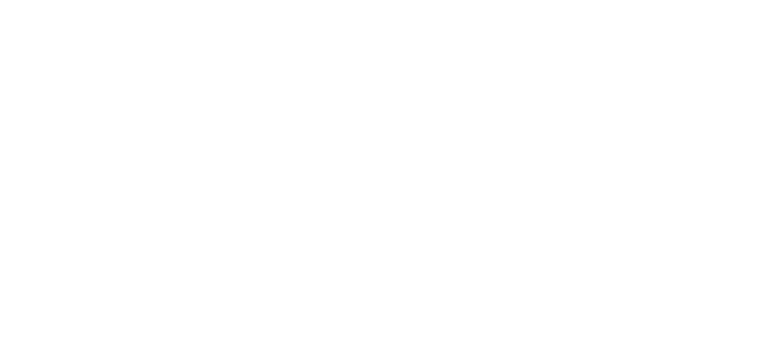 Fatal Fury: City of the Wolves logo