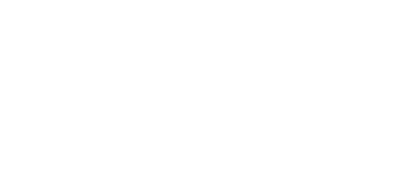 The Fidgetts