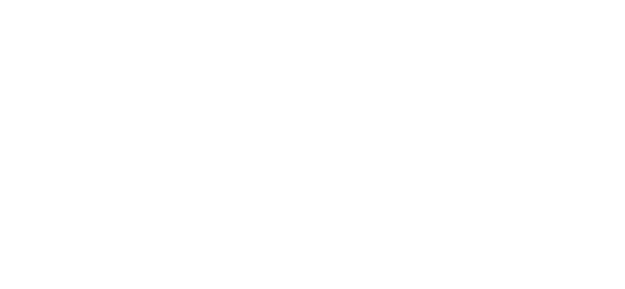 The Hidden Ones