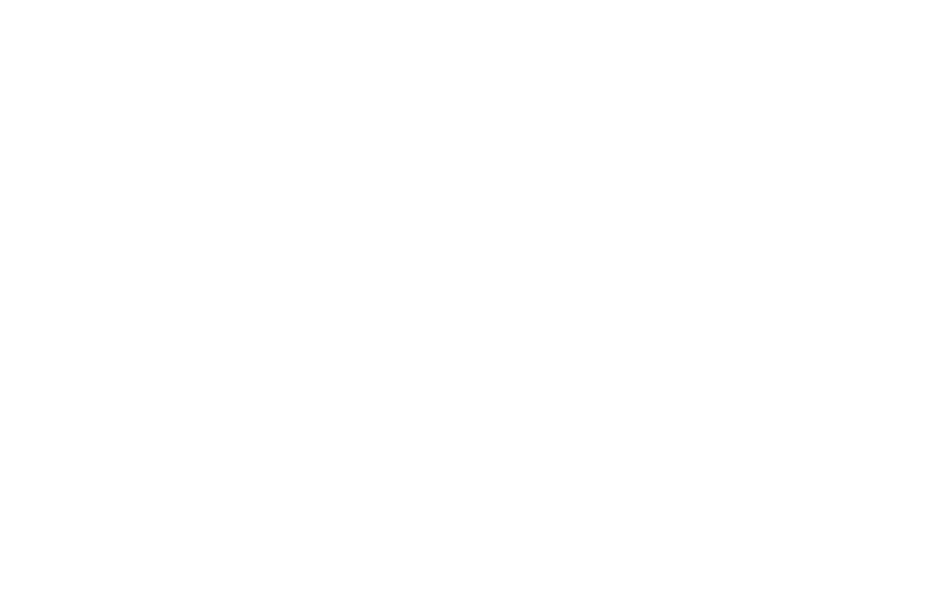 Lost Skies logo