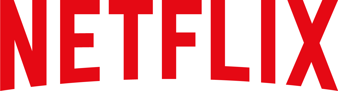 Netflix Puzzled