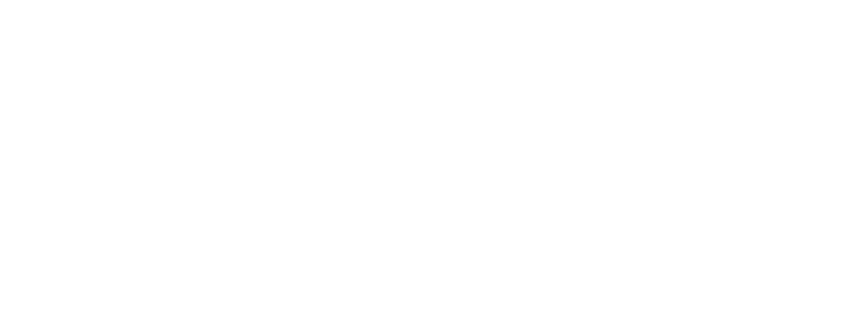 Naruto Shippuden: Ultimate Ninja Storm 2 logo