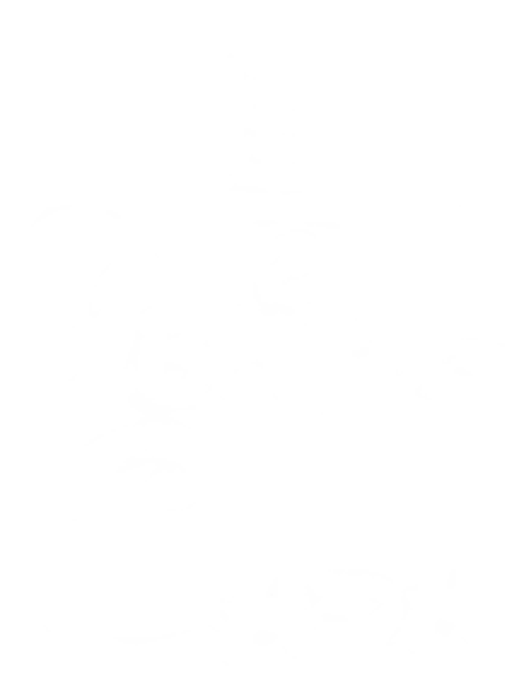 Oblitus Casa
