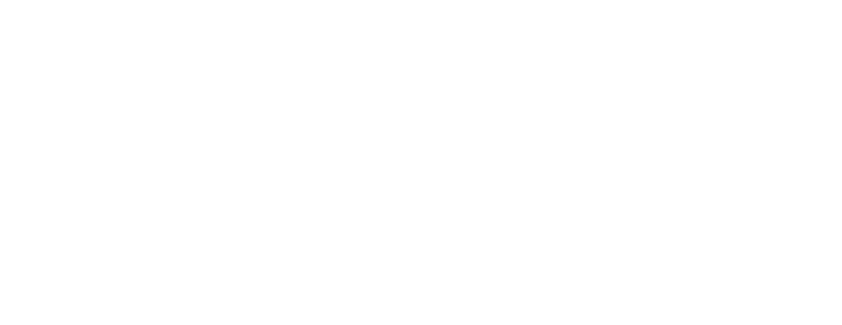 NBA The Run