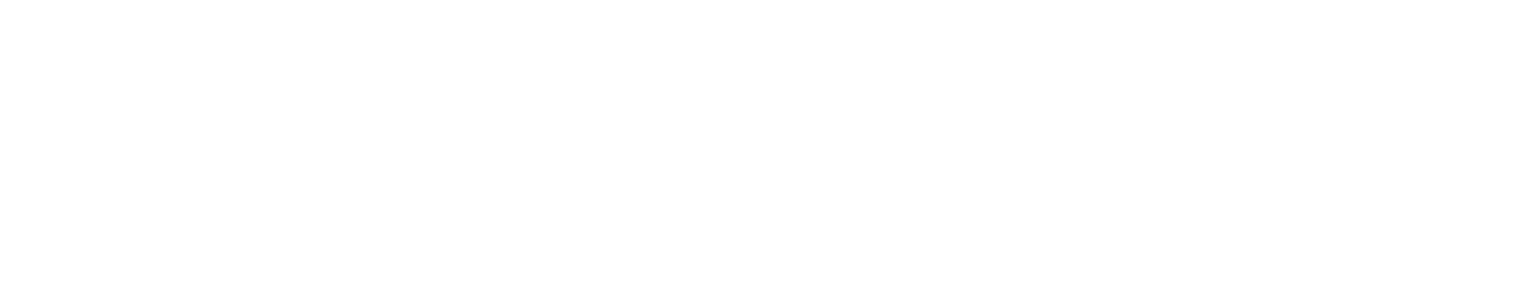 Night at the Meowseum