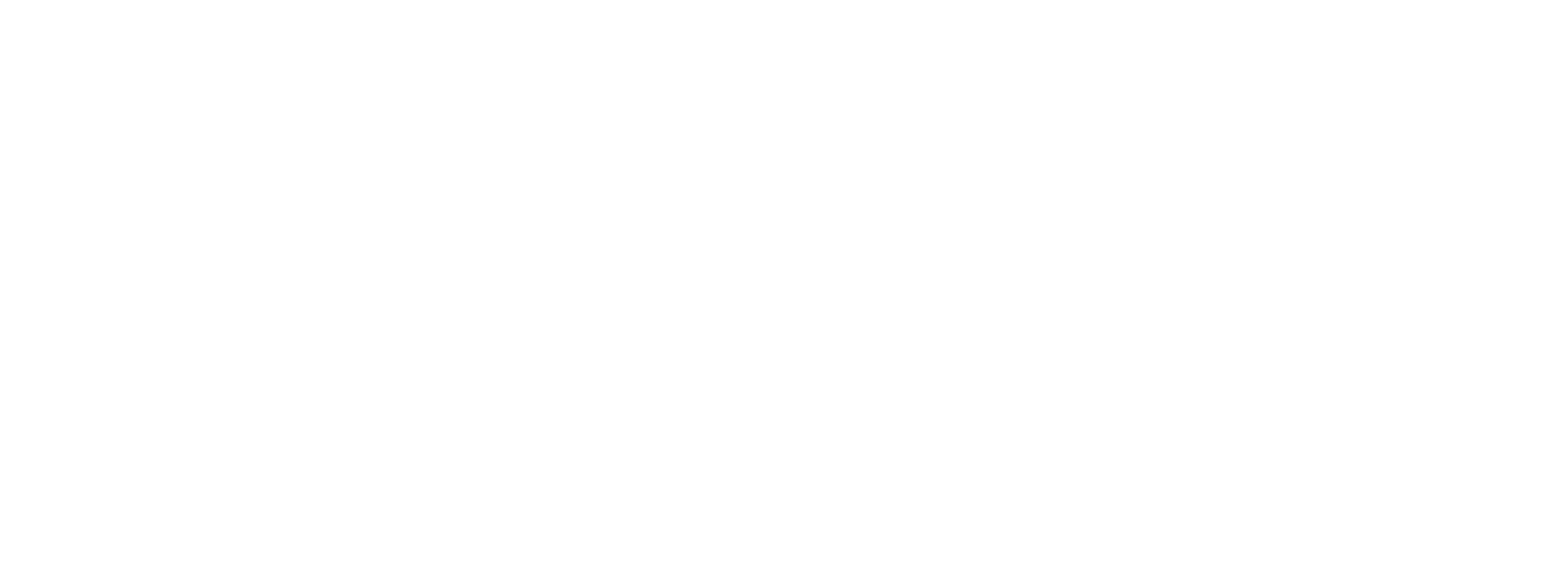 Ginga Force