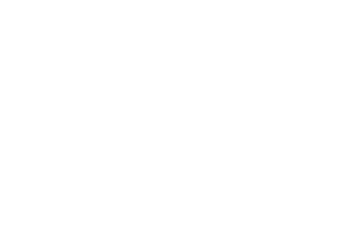 Phoenix Point: Behemoth Edition