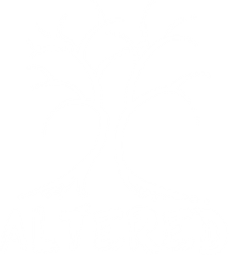 Logo for Altered by yst - SteamGridDB