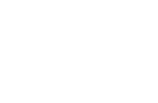 Dragon Ball Z Budokai Tenkaichi 4 - SteamGridDB