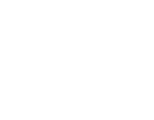 Street Fighter V - SteamGridDB