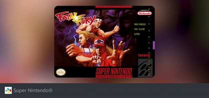 Fatal Fury: Wild Ambition - SteamGridDB