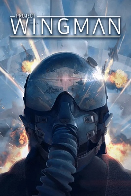 Няшкин Project Wingman (2020)